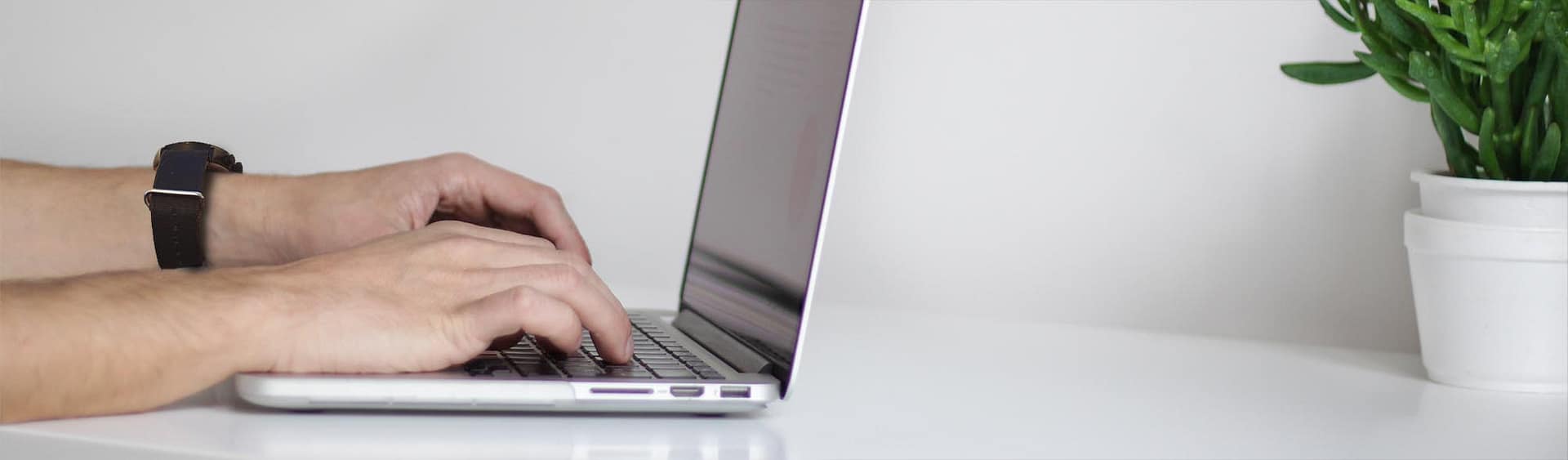 Interactivedesign WordPress Hjemmesider Sukulent Med Ur