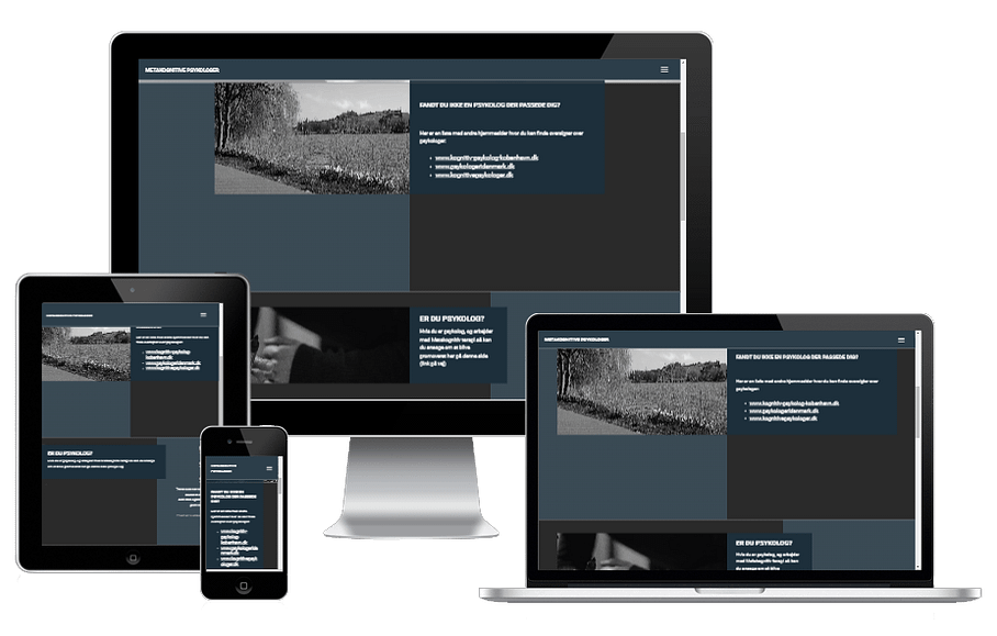Ny Hjemmeside Metakognitive Psykologer 01