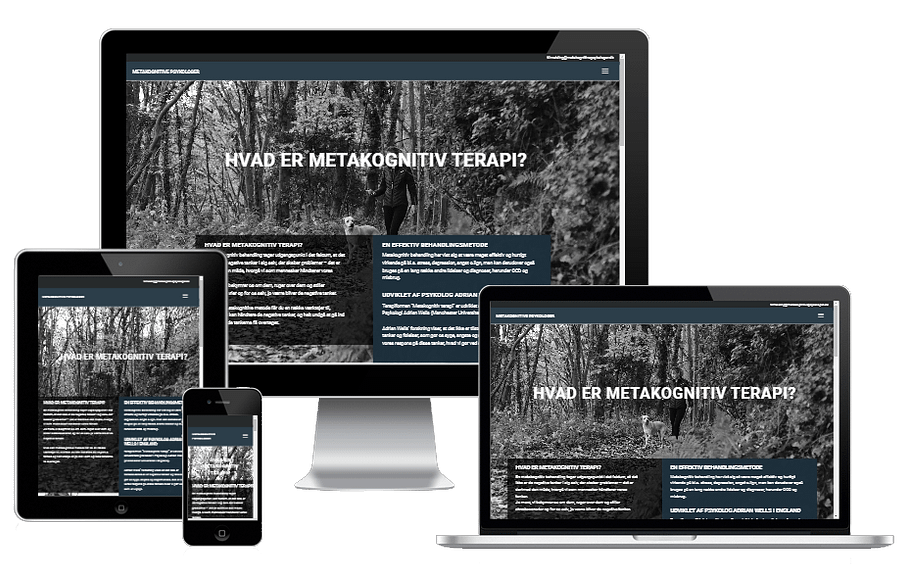 Ny Hjemmeside Metakognitive Psykologer 03