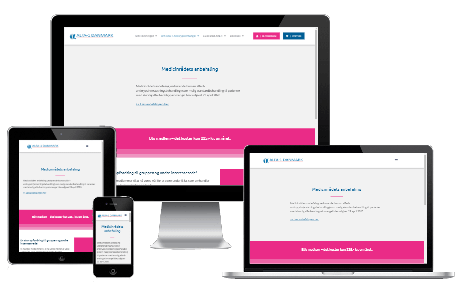 Wordpress Elementor Hjemmeside Remake Freom Divi Alfa 1 03