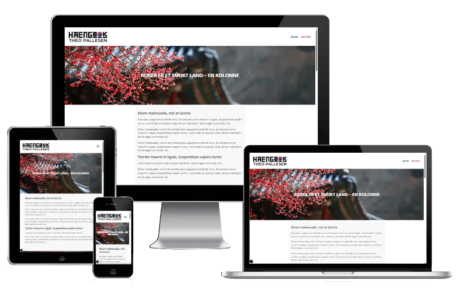 Ny Hjemmeside Journaliststuderende Theo Pallesen 02