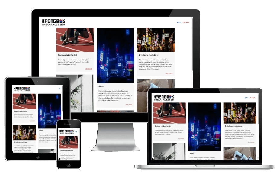 Ny Hjemmeside Journaliststuderende Theo Pallesen 04