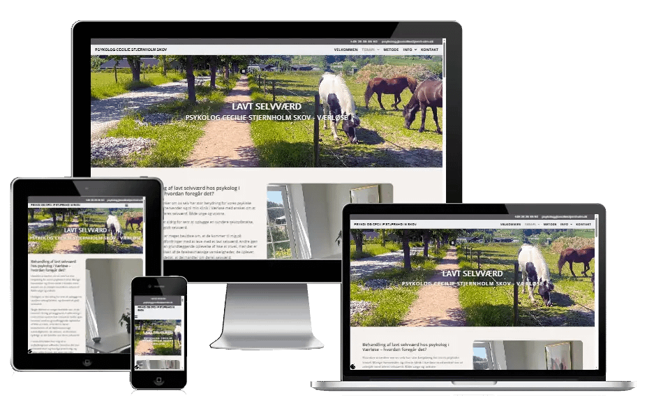 Ny Hjemmeside Psykolog Wordpress Cecilie Stjernholm Skov 3