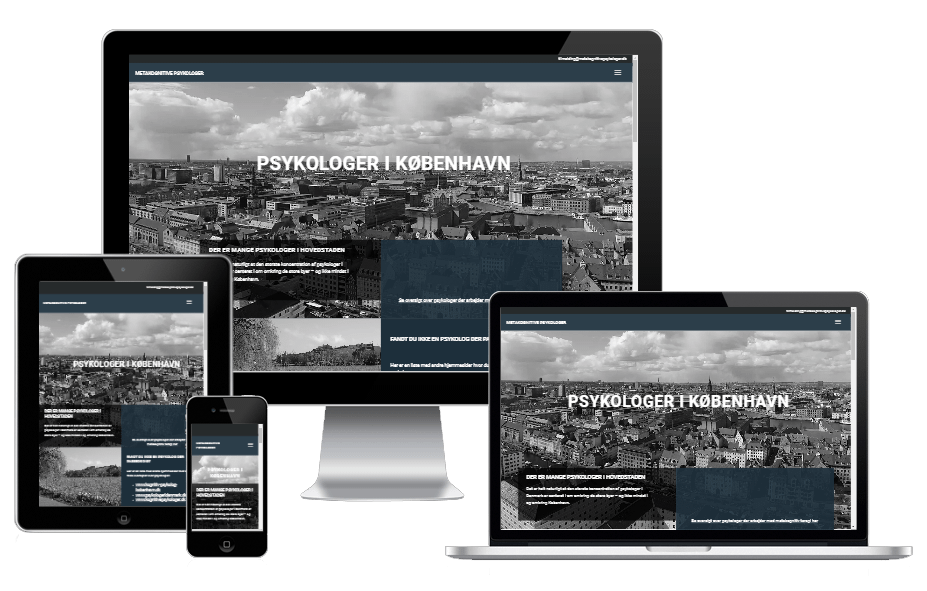 Metakognitive psykologer